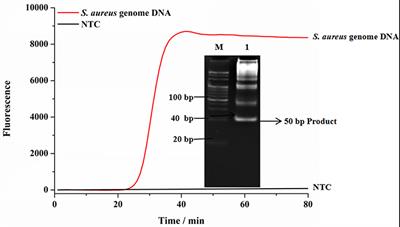 Rapid and Simple Detection of Viable Foodborne Pathogen Staphylococcus aureus